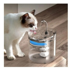 Fuente Mascota Transparente