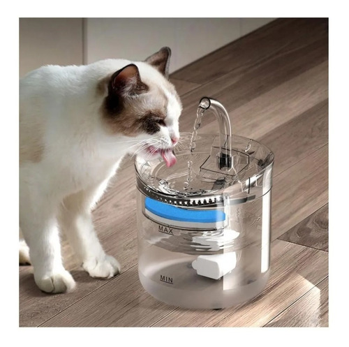 Fuente Mascota Transparente