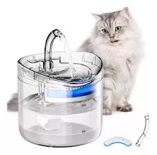 Fuente Mascota Transparente - Image 2