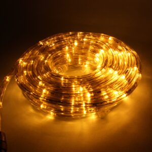 Manguera Led 10 Metros